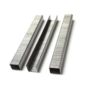 21 Gauge 80 Series 1/2" Crown 1/4" to 1/2" Leg Length 304 Stainless Steel Staples