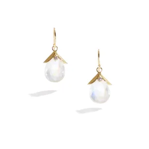 Faceted Moonstone Briolette Drop Earrings