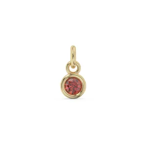 January Birthstone Charm | 10k Yellow Gold